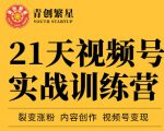 张萌21天视频号实战训练营,裂变涨粉、内容创作、视频号变现 价值298元-晟哥学社资源库