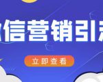 微信营销策划引流系列课程，每天引流100精准粉-晟哥学社资源库