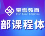 星雪教育淘系高级班,更全的运营提升方案,零基础由浅入深,店铺最新玩法-晟哥学社资源库