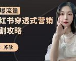 苏歆：小红书穿透式营销收割攻略，引爆流量，助你玩转小红书-晟哥学社资源库