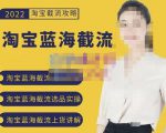 2022淘宝蓝海截流攻略,淘宝蓝海截流选品上货实操讲解-晟哥学社资源库