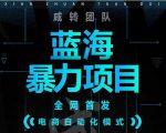 引流哥蓝海暴力躺赚项目:无需发圈无需引流无需售后,每单赚50-500(教程+线报群)-晟哥学社资源库