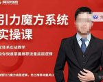 阿呆-引力魔方系统实操课,全体系实战教学,助你快速掌握推荐流量底层逻辑-晟哥学社资源库