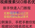 宋老师·短视频搜索SEO优化，教你10分钟创作一个短视频，三天排名上第一-晟哥学社资源库