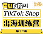 TikTokShop出海训练营(第十三期),打开全球流量新思维,出海抢占全球新流量,一店卖全球-晟哥学社资源库