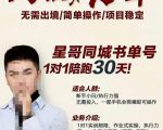 星哥同城教育书单号课程,无需出境简单操作项目稳定-晟哥学社资源库