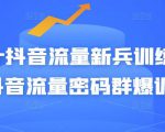 Peter抖音流量新兵训练营-破解抖音流量密码群爆训练营（新兵）-晟哥学社资源库