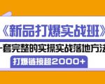 凌童《新品打爆实战班》,一套完整的实操实战落地方法，打爆链接超2000+（28节课)-晟哥学社资源库