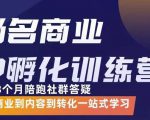 杨名商业IP孵化训练营，从商业到内容到转化一站式学 价值5980元-晟哥学社资源库