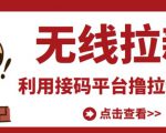 最新接码无限拉新项目,利用接码平台赚拉新平台差价,轻松日赚500+-晟哥学社资源库