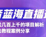 抖音最新蓝海直播玩法,3分钟赚30元,一天轻松1000+,只要你去直播就行【详细玩法教程】-晟哥学社资源库