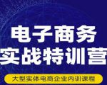民赛电气内部出品:电子商务实战特训营,全方位带你入门电商,308种方式玩转电商-晟哥学社资源库
