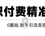 玩转知识付费项目精准引流，给你1套课多账号操作落地方案！-晟哥学社资源库