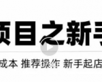 虚拟项目快速起店模式,0成本打造月入几万虚拟店铺!-晟哥学社资源库