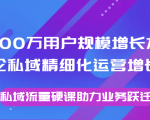 8000万用户规模增长方法论私域精细化运营增长，私域流量硬课助力业务跃迁-晟哥学社资源库