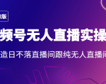2022年视频号无人直播实操课,打造日不落直播间跟纯无人直播间-晟哥学社资源库