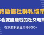 玩转微信社群私域带货,学会就能赚钱的社交电商,在家兼职副业再挣8000+-晟哥学社资源库