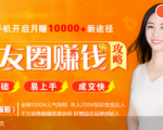 全网千万人气导师亲授:零基础/易上手的朋友圈赚钱攻略,让你轻松月入过万-晟哥学社资源库