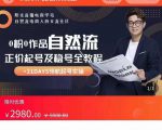 0粉0作品自然流正价起号及稳号全教程,专业自然流起号机构流程化教学(价值2980元)-晟哥学社资源库