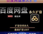 百度网盘无限扩容技术,外面卖399的,无论自己用还是用做引流都可以-晟哥学社资源库