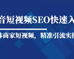 抖音短视频Seo搜索排名优化新手快速入门教程,实体商家短视频,精准引流实操课-晟哥学社资源库