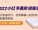 2022小红书高阶训练营：爆文制造技巧，低预算高roi投放技巧，内容营销思维-晟哥学社资源库