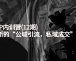 新媒体IP内训营(12期)，一套全新的“公域引流，私域成交”IP打法，直接带走-晟哥学社资源库