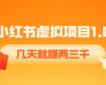 《小红书虚拟项目1.0》账号注册+养号+视频制作+引流+变现,几天就赚两三千-晟哥学社资源库