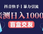日收益1000+的交友盲盒副业丨有手就行的抖音快手暴力引流-晟哥学社资源库