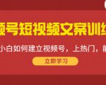 视频号短视频文案训练营：0基础小白如何建立视频号，上热门，能卖货！-晟哥学社资源库