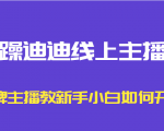 暴躁迪迪线上主播课,金牌主播教新手小白如何开播-晟哥学社资源库