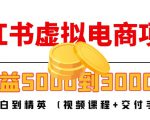 小红书虚拟电商项目:从小白到精英 月收益5000到30000 (视频课程+交付手册)-晟哥学社资源库