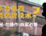外面收费2980的全平台电商白嫖撸货技术(仅揭秘勿操作-商家防范必看)-晟哥学社资源库