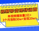 21天视频号变现特训营:单视频播放量2亿+3个月涨粉30w+变现20w+(第14期)-晟哥学社资源库