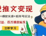 小说推文训练营：引流技巧+爆款实操+矩阵号玩法，百倍效益、百万播放秘笈-晟哥学社资源库