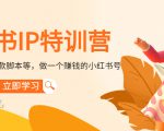 小红书IP特训营：从搭建-制作-爆款脚本等等，做一个赚钱的小红书号-晟哥学社资源库