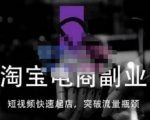 蓝Sir派·淘宝短视频快速起店,替代传统搜索方式,学会做一个不一样的淘宝店-晟哥学社资源库