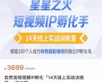 瑶瑶·自然流短视频IP孵化第二期，14天线上实战训练营，赋能100个人成为有数据能赚钱的独立IP孵化手-晟哥学社资源库