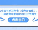 厦九九小红书学习年卡（全年IP孵化），沉浸式学习，一起成为有影响力的小红书博主-晟哥学社资源库