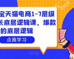 大圣淘宝天猫电商1-7层级盈利增长底层逻辑课，爆款的底层逻辑-晟哥学社资源库