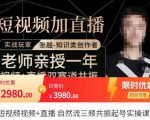张越·短视频+直播，自然流三频共振起号实操课，​短视频所有流量玩法讲解-晟哥学社资源库