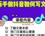 新手做抖音如何写文案,手把手实操如何拆解热门文案-晟哥学社资源库