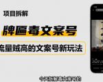 2023抖音快手毒文案新玩法，牌匾文案号，起号快易变现-晟哥学社资源库