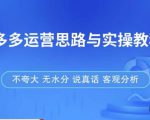 拼多多店铺运营思路与实操教程,快速学会拼多多开店和运营,少踩坑,多盈利-晟哥学社资源库