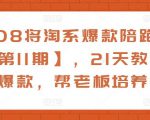 108将淘系爆款陪跑营【第11期】，21天教运营打爆款，帮老板培养运营-晟哥学社资源库