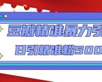 豆瓣精准暴力引流,日引精准粉500+【12课时】-晟哥学社资源库