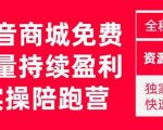 抖音商城搜索持续盈利陪跑成长营，抖音商城搜索从0-1、从1到10的全面解决方案-晟哥学社资源库