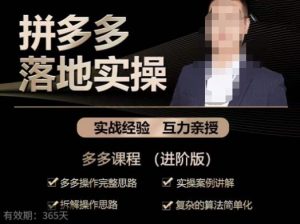 拼多多实战篇·落地实操:多多操作完整思路+实操案例讲解+拆解操作思路+复杂的算法简单化-晟哥学社资源库