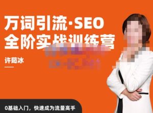 许茹冰·万词引流-SEO全阶实战训练营,0基础入门,快速成为流量高手-晟哥学社资源库