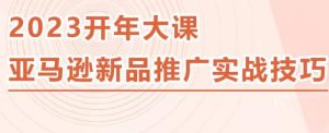 2023亚马逊新品推广实战技巧，线下百万美金课程的精简版，简单粗暴可复制，实操性强的推广手段-晟哥学社资源库
